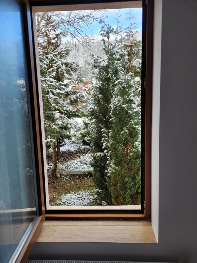 Apartamentul Florilor De Fan 阿祖加 外观 照片